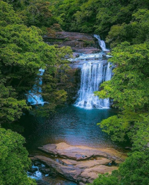 Exotic Landscape